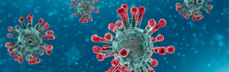 COVID-19, el coronavirus